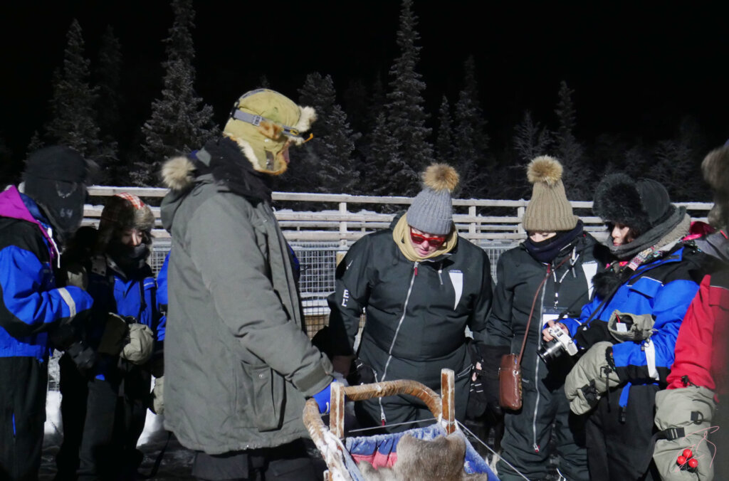 瑞典自助 狗拉雪橇 夜遊奇遇記 | 巧遇極光大爆發，太幸運的我們