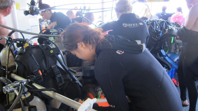 澳洲大堡礁 ▋大堡礁自助潛水 CAIRNS | 第一次出國潛水就上手，跟我一起去大堡礁潛水吧！